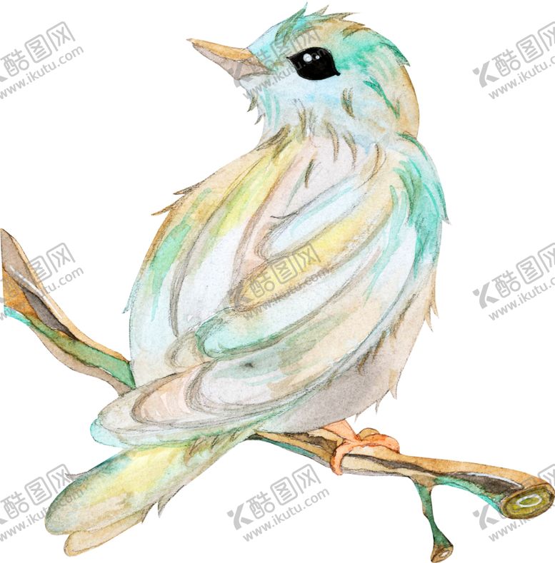 编号：45281804180036457627【酷图网】源文件下载-水彩插画鸟图案