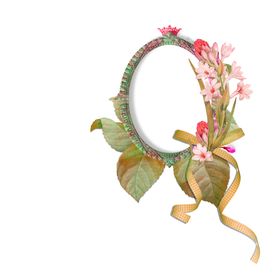 鲜花素材真纺织印朵康乃馨