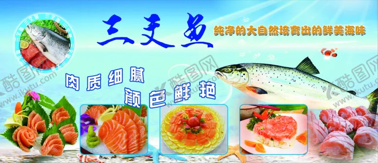 编号：50640506281102253688【酷图网】源文件下载-三文鱼海报