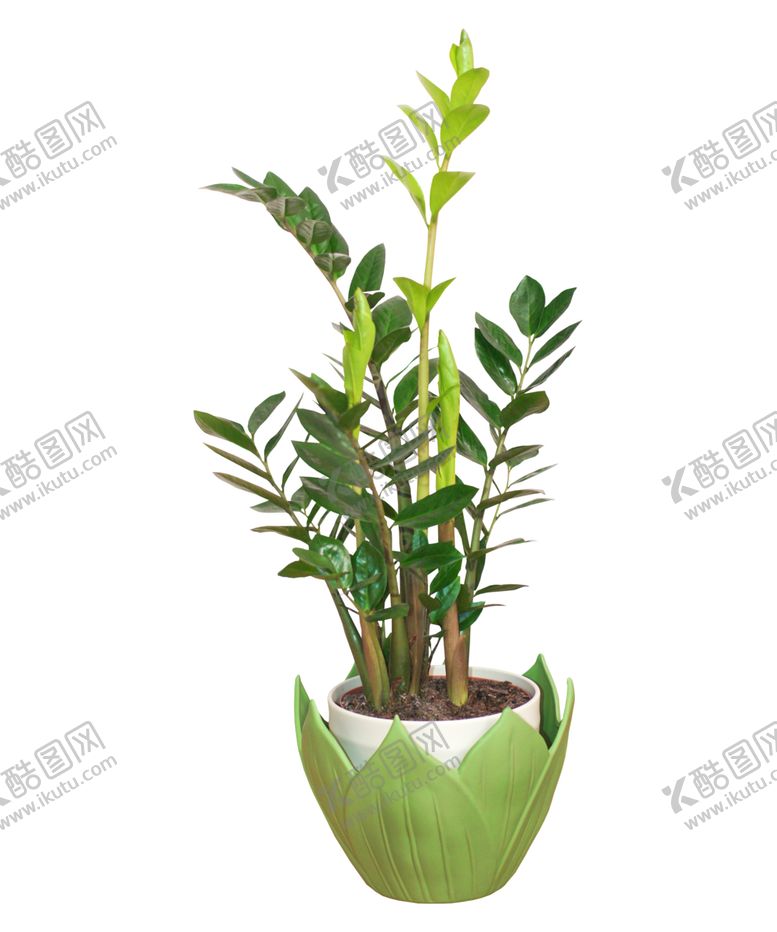 编号：41450307010145447921【酷图网】源文件下载-花边