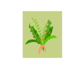 手绘绿色清新小植物