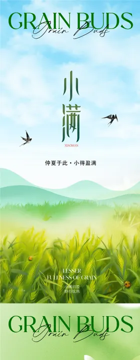 小满节气海报二十四耕地谷物房地产