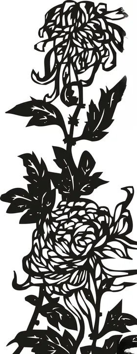 菊花矢量图精修