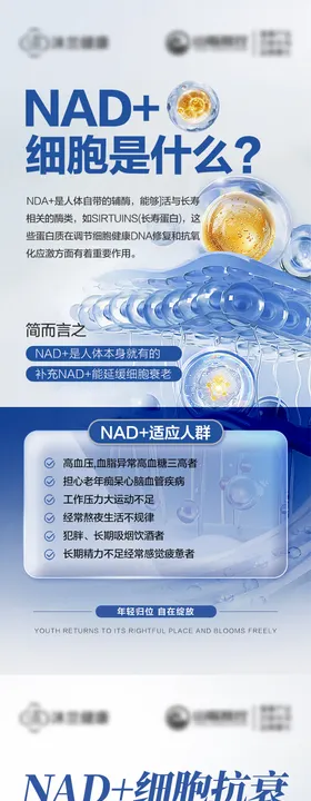 NAD 细胞抗衰海报
