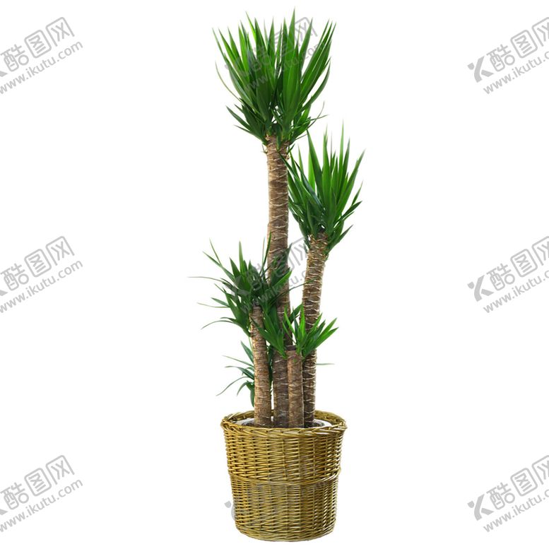 编号：75504209220803097878【酷图网】源文件下载-绿色植物