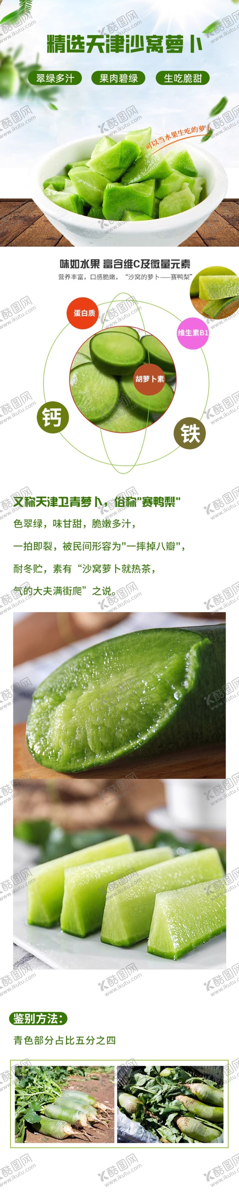 编号：89796201261331026897【酷图网】源文件下载-沙窝萝卜