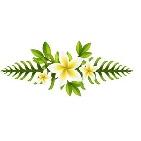 绿色相框