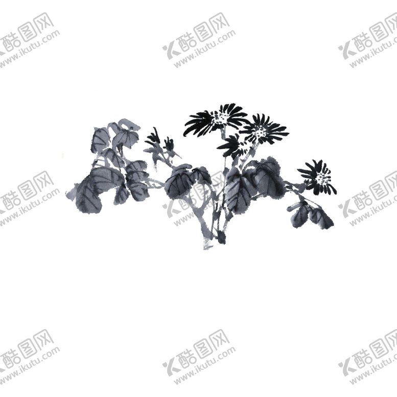 编号：64321810071521558078【酷图网】源文件下载-国画菊花