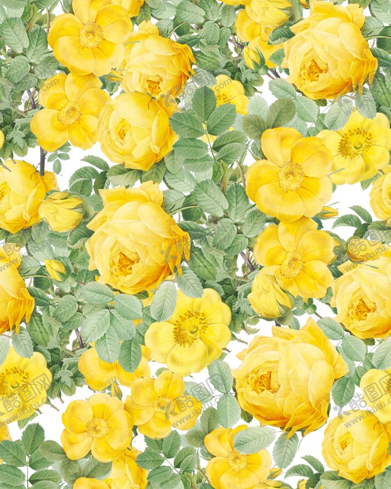 编号：30617109250002263333【酷图网】源文件下载-无缝花纹