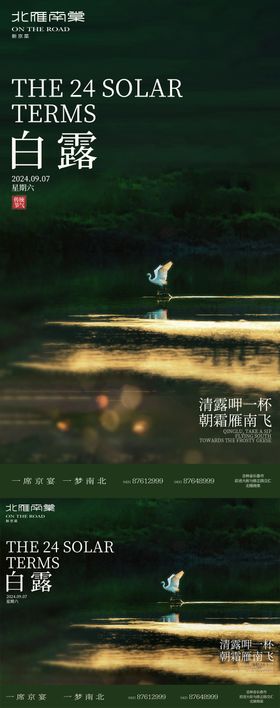 白露海报湖二十四节气鹭风景
