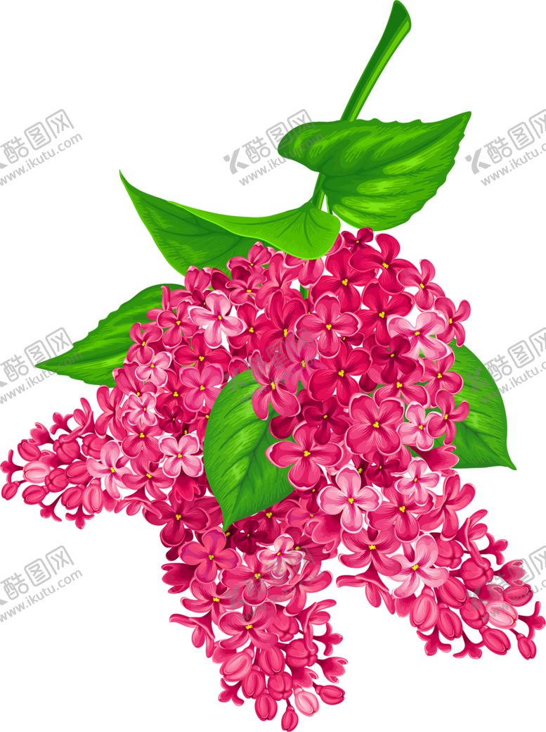 编号：50886205160249015913【酷图网】源文件下载-花素材