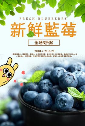 新鲜蓝莓