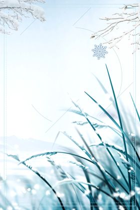 地产白露寒露芦苇草风景系列海报