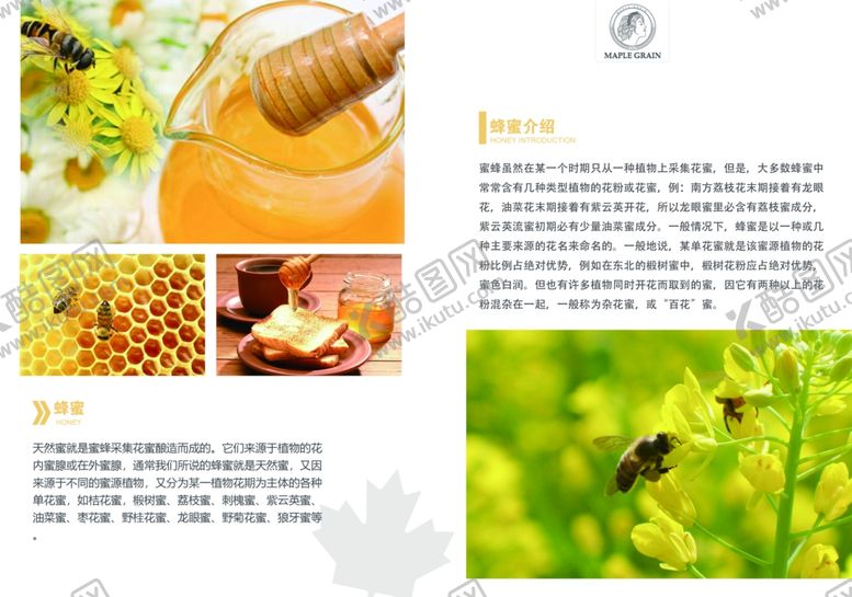 编号：65782507072251205986【酷图网】源文件下载-蜂蜜