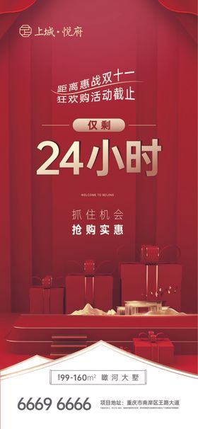 双11产物料红色地产抢购微单