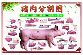 猪肉分割图