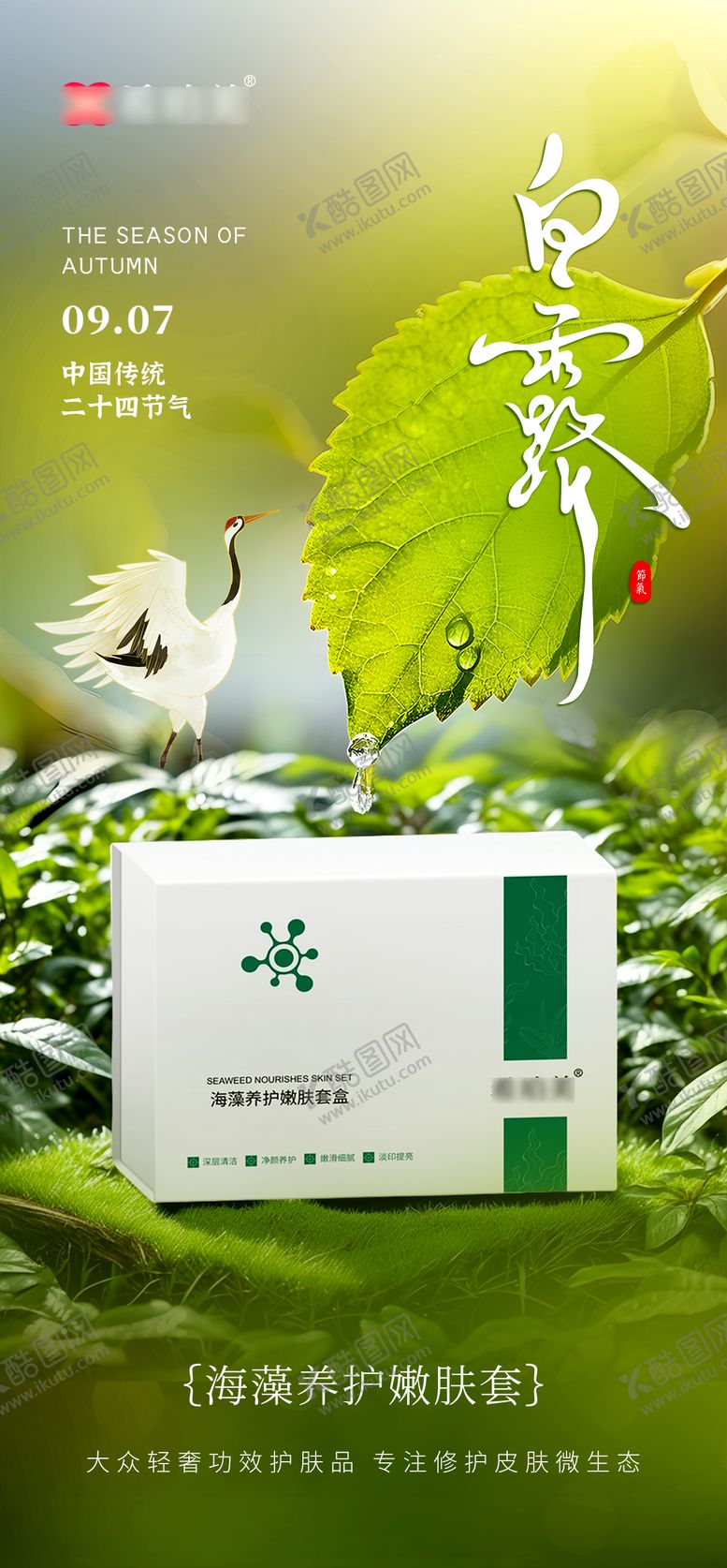 编号：80411407272304478307【酷图网】源文件下载-白露节气海报