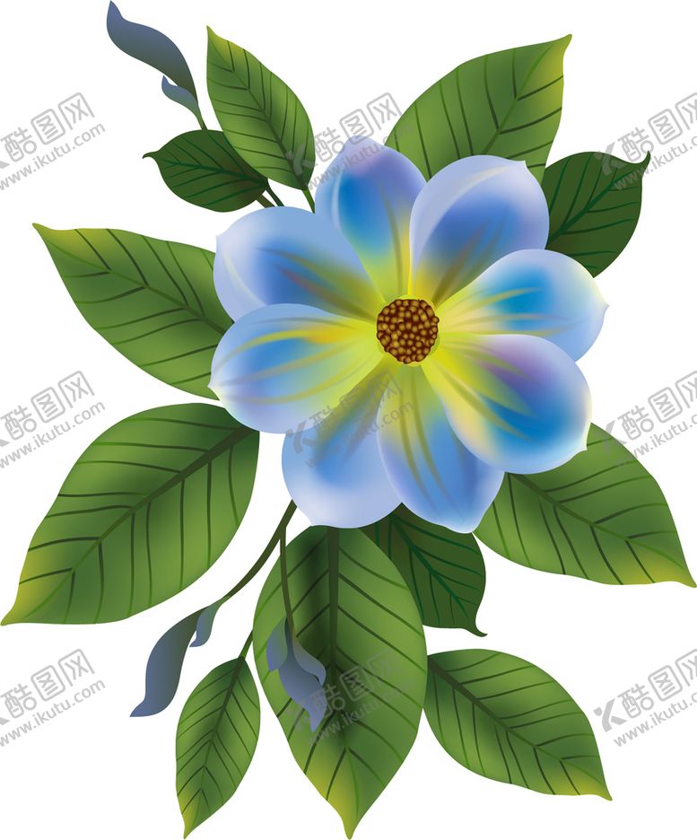 编号：13528609140057438354【酷图网】源文件下载-写实花卉植物鲜花