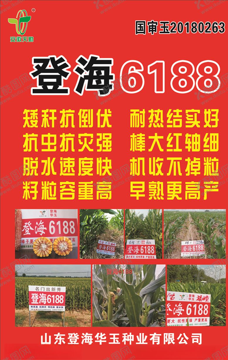 编号：34486307121508451379【酷图网】源文件下载-登海6188玉米种海报