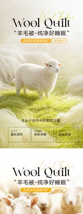 羊绒/羊毛被海报