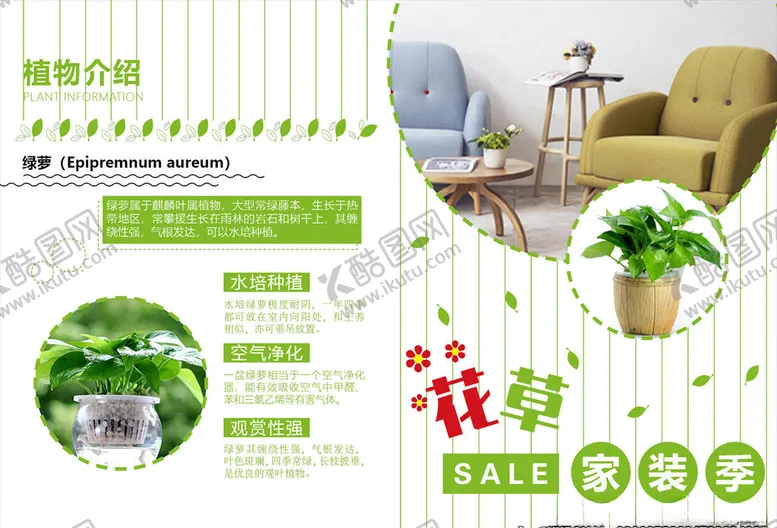 编号：66539506281529006724【酷图网】源文件下载-绿植折页