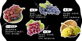 水果吊牌