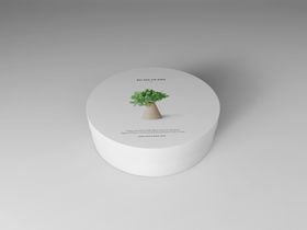 茶包装样机