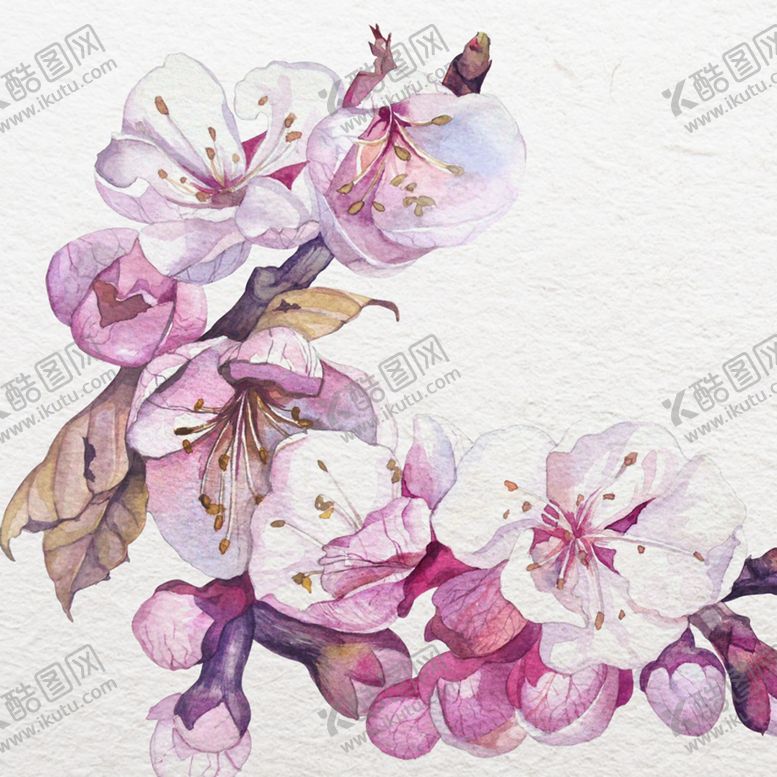 编号：40148406281542556285【酷图网】源文件下载-植物花朵绘画素材