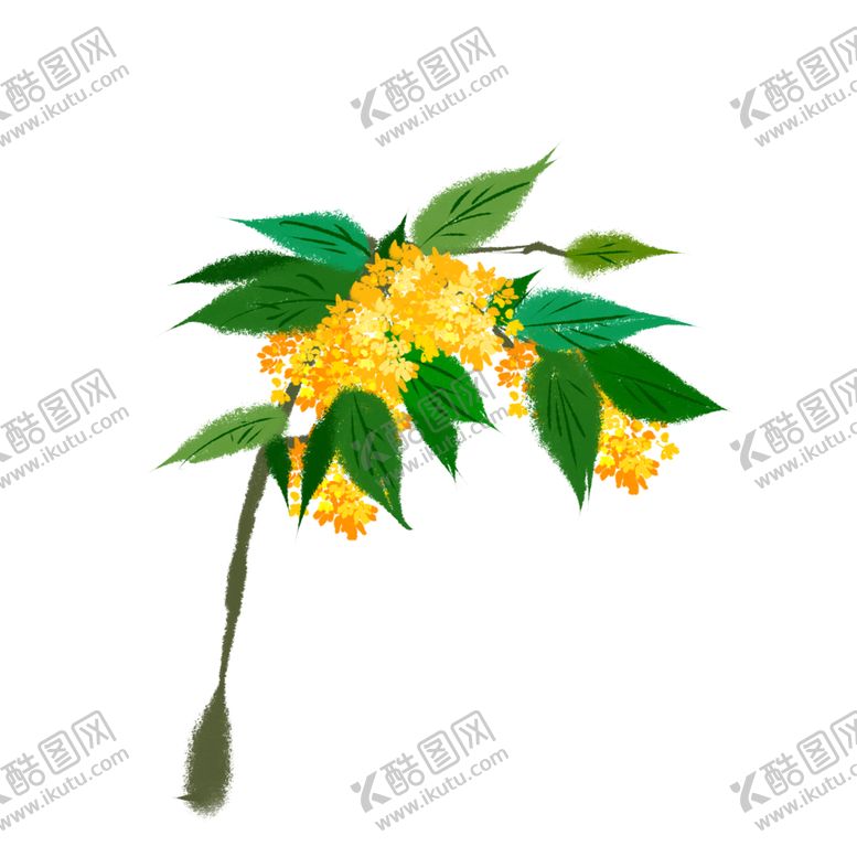 编号：48911302092049156394【酷图网】源文件下载-手绘桂花png免抠素材