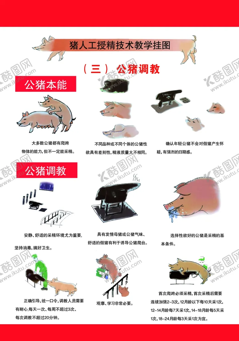 编号：39660304061003253930【酷图网】源文件下载-猪场管理图