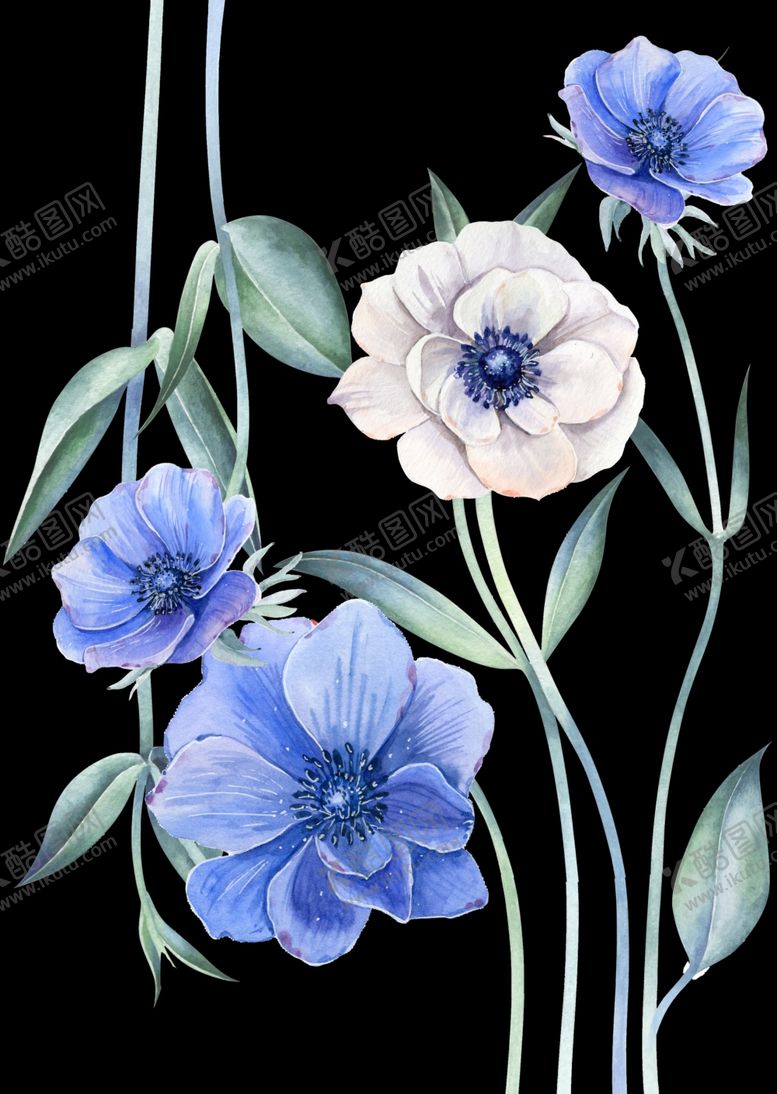 编号：96631910020229291061【酷图网】源文件下载-花儿