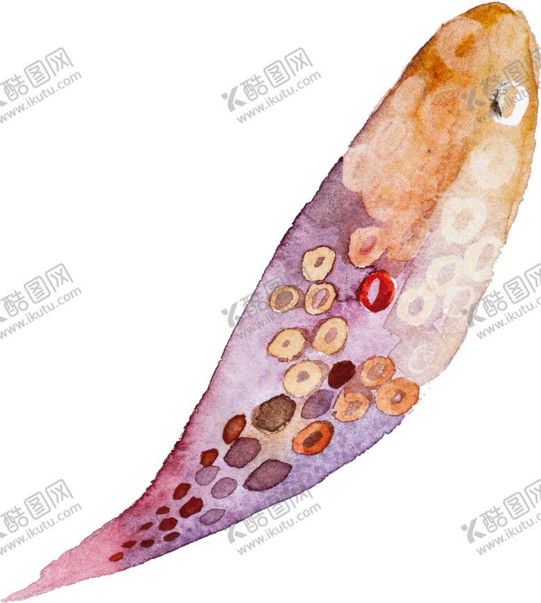 编号：66165810181544081714【酷图网】源文件下载-手绘水彩羽毛