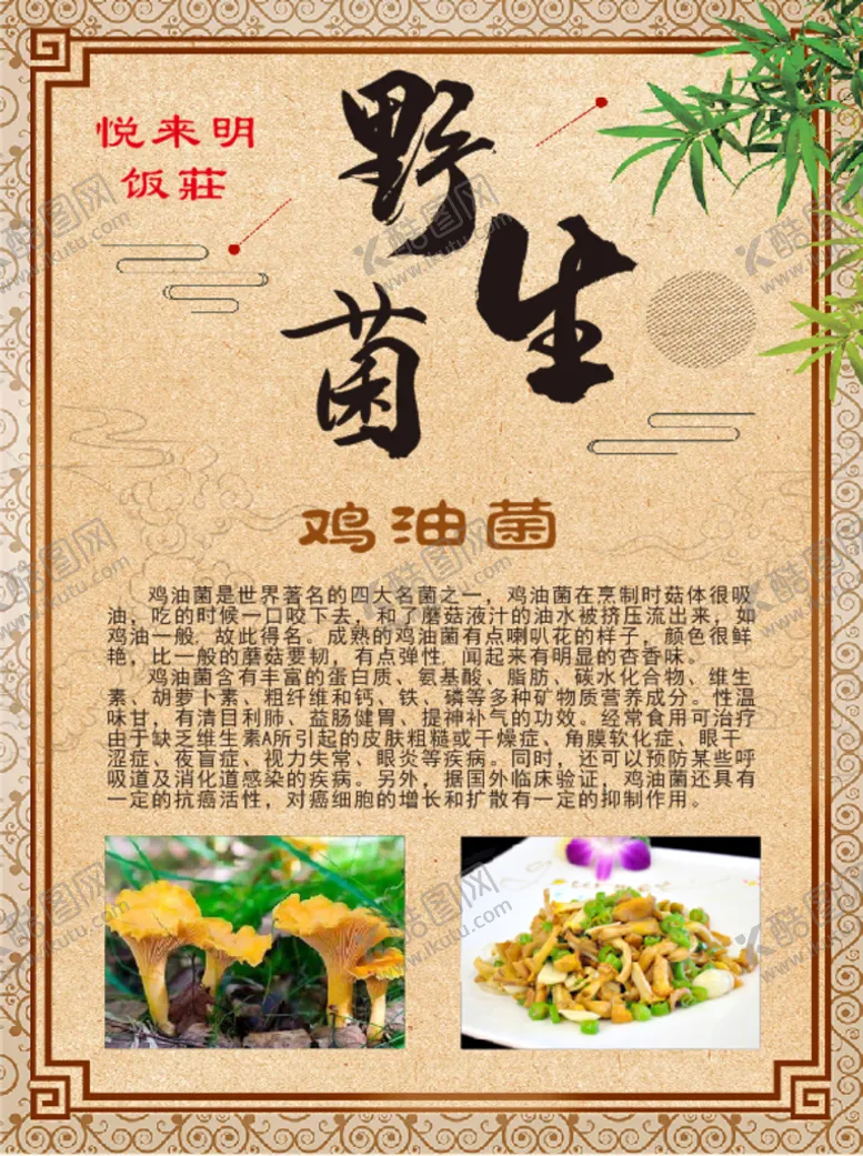编号：97533310241112048672【酷图网】源文件下载-野生菌