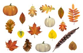 手绘植物树叶背景