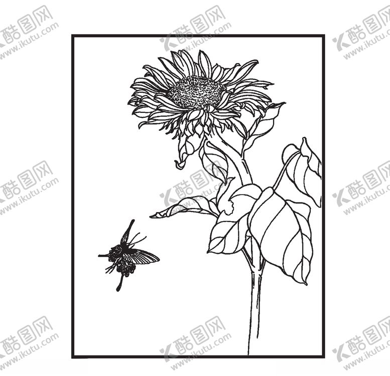编号：68560610311322372543【酷图网】源文件下载-向日葵