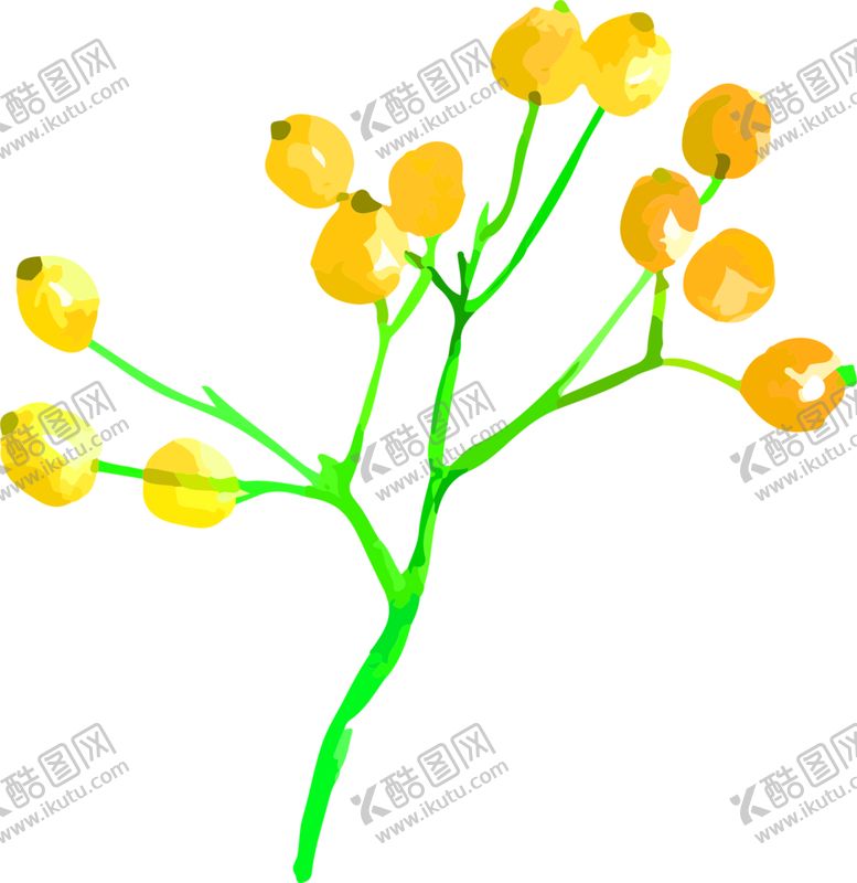 编号：37270607071345349537【酷图网】源文件下载-花素材