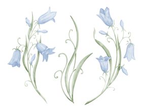 水彩花卉