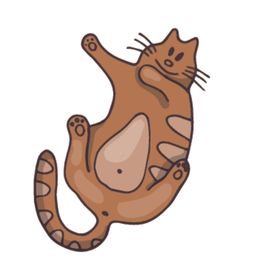 卡通动物猫咪图案