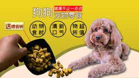 狗粮