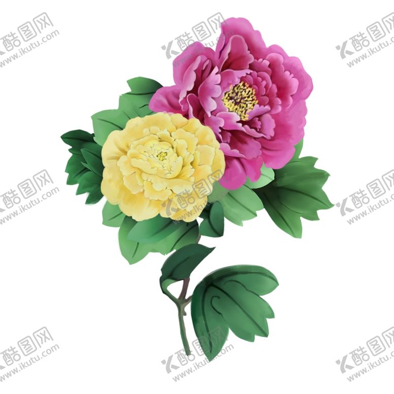 编号：23673106251138572394【酷图网】源文件下载-手绘牡丹花