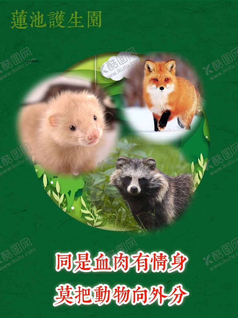 编号：43355607041345417903【酷图网】源文件下载-放生护生狐狸