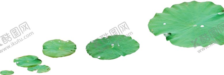 编号：74597210291504151889【酷图网】源文件下载-荷叶