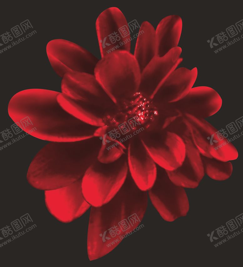 编号：36966410042247242139【酷图网】源文件下载-数码印花图案