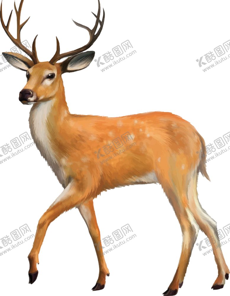 编号：93031110061159592589【酷图网】源文件下载-小鹿