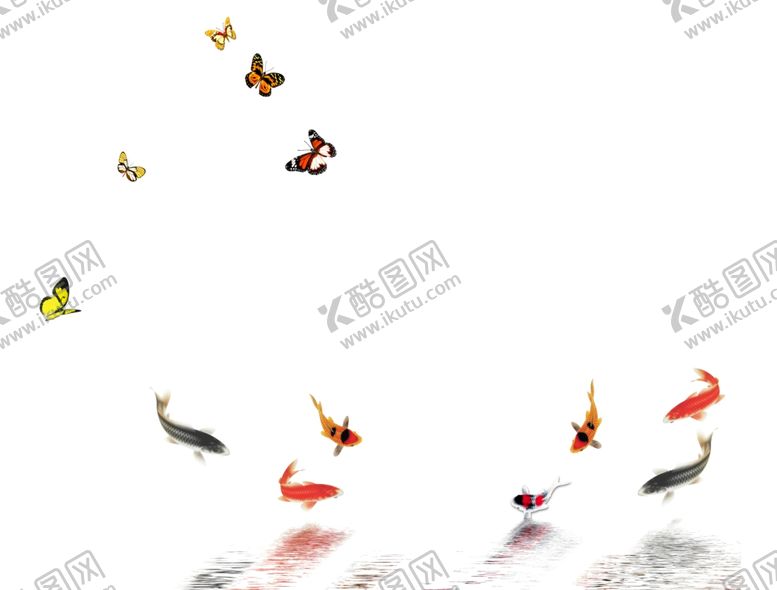 编号：35949409121130405360【酷图网】源文件下载-金鱼