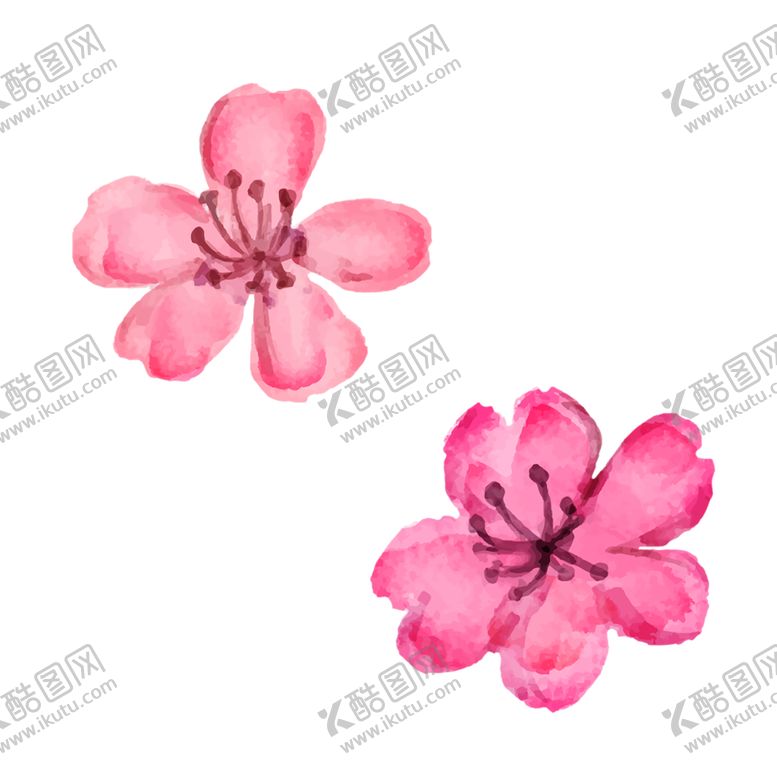 编号：35087206250918372582【酷图网】源文件下载-手绘植物花卉