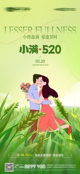 地产520小满海报