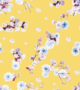 梅花 创意梅花  花