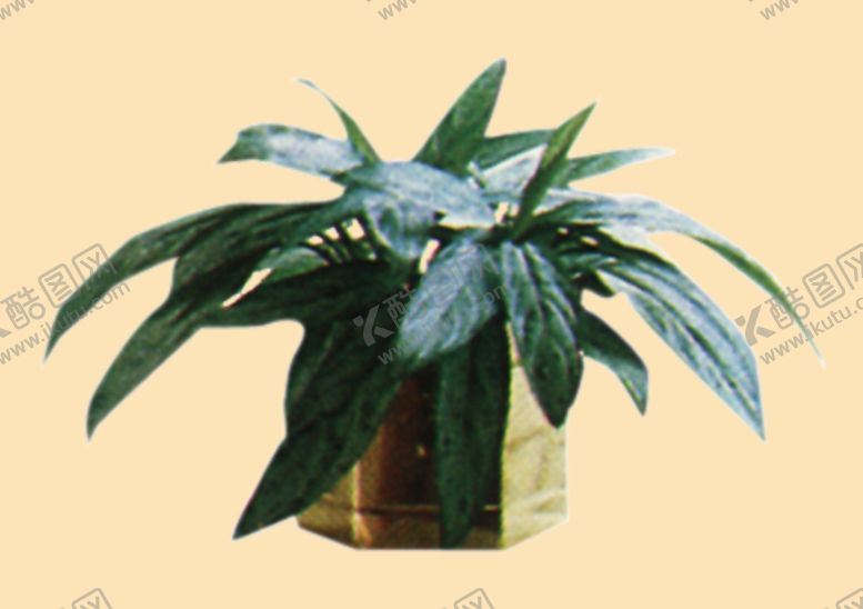 编号：37460109150329427108【酷图网】源文件下载-盆景
