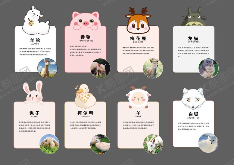 编号：31197508221414433283【酷图网】源文件下载-动物介绍系列海报